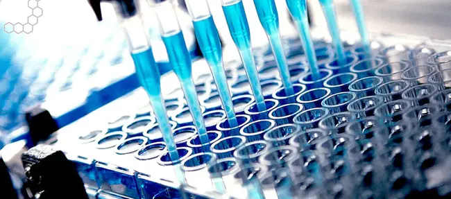 Development-Validation : 开发验证