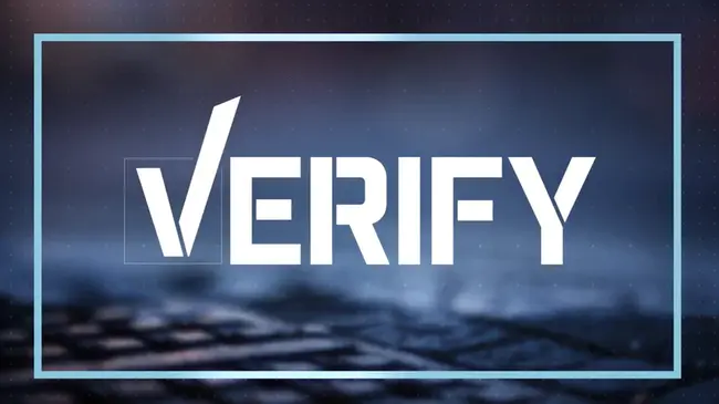 Verify Read : 校验读