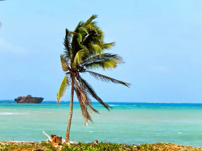 Service Learning Integrating Character Education : 服务学习整合素质教育