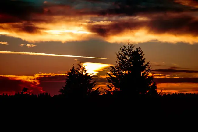 NorthWest Quadrant : 西北象限