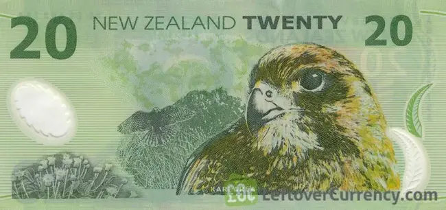 New Zealand Open Encyclopedia : 新西兰公开百科全书