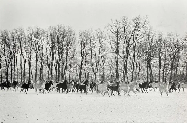 Gyor, Hungary : 吉尔,匈牙利