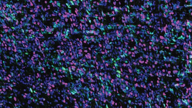 Quaternary Research Center : 第四纪研究中心