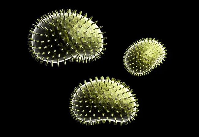 Long Term Ecological Research : 长期生态研究