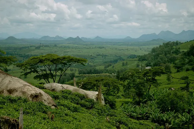 Gurue, Mozambique : 莫桑比克古鲁埃