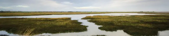 Coastal Resource Management Project : 海岸资源管理项目