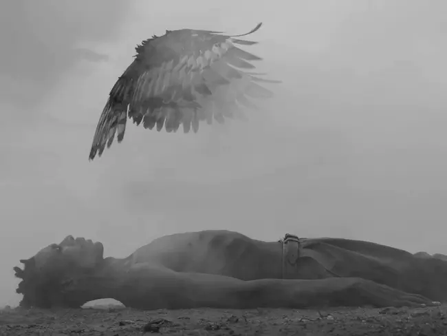 Institute Of Directors Zimbabwe : 津巴布韦董事学会