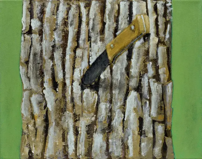 Found On Refuage Dump : 在垃圾场发现