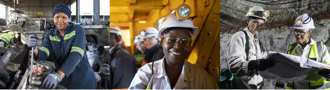 Faculty Overview Of Research And Undergraduate Mentorship : 研究与本科生导师制概述