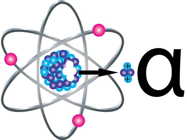 Alpha Alumni : 阿尔法校友