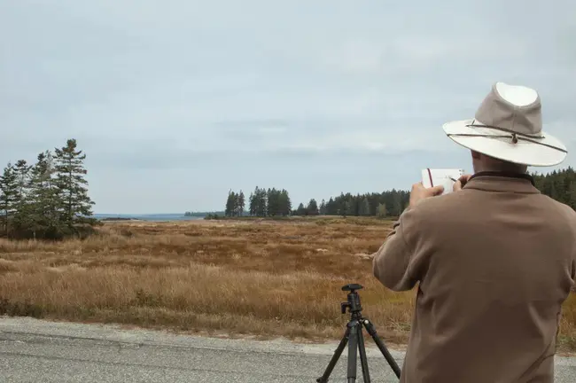 Unquadennium (element 149) : unquadenium(元素149)