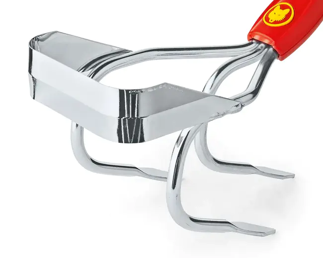 International Elbow Working Group : 国际肘部工作组