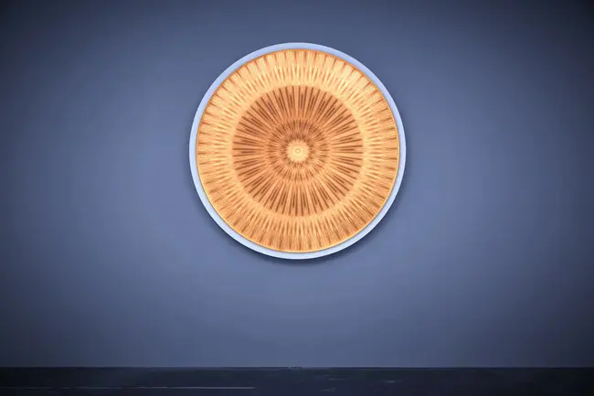 United States Micro-gravity Payload-4 : 美国微型重力载荷-4