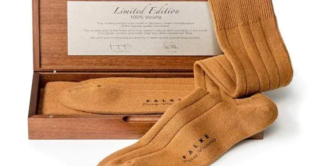 No Tour : 没有旅游