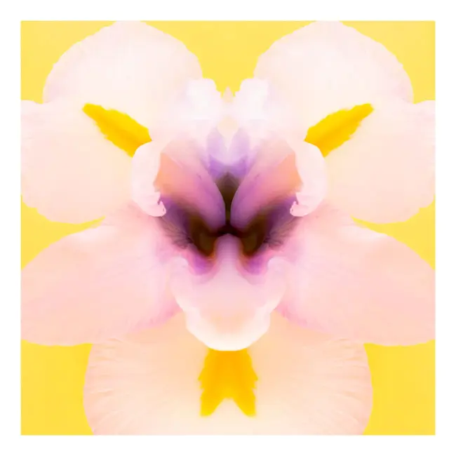 Examine Service Provided : 检查提供的服务