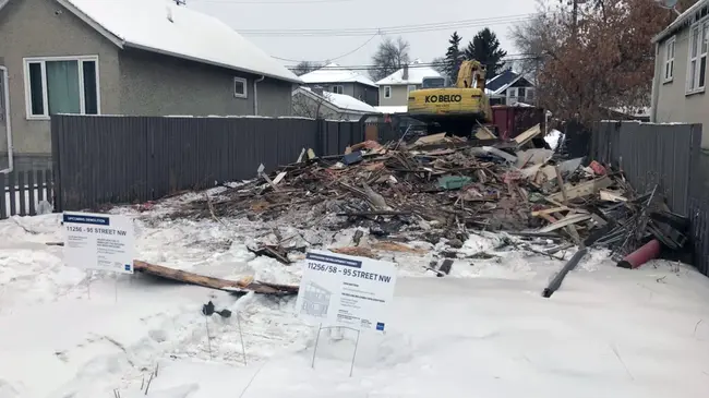 Abandoned Cat : 被遗弃的猫