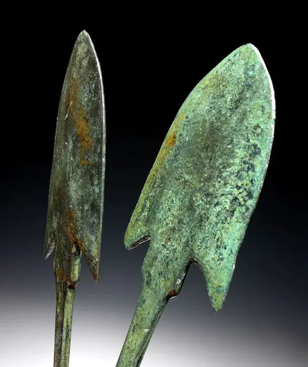 Active Region : 有源区