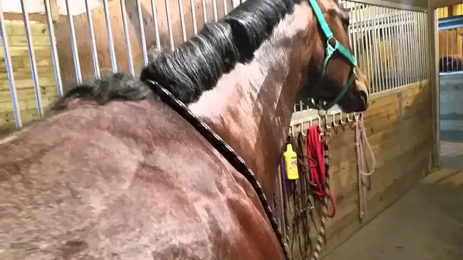 Vacuum Ultra-Violet Spectroscopy : 真空紫外光谱法