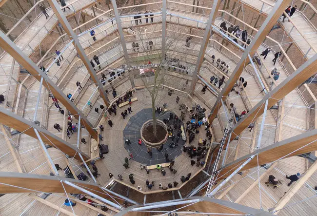 Wiegand Hall : 维根霍尔