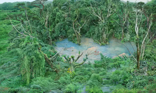 Alternative Possibilities : 其他可能性