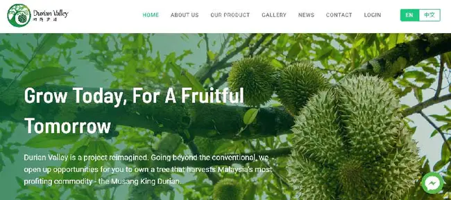 Yes, I Kan Edit Stuff : 是的,我可以编辑东西