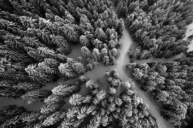 Vendor Environmental Management System : 供应商环境管理系统