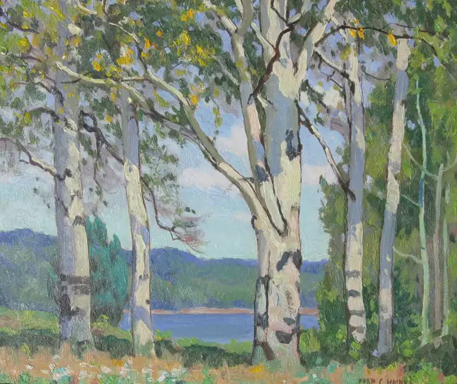 FM-95.9, Forest Lake, Minnesota : FM-95.9,明尼苏达州森林湖