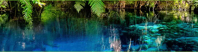 Santa Clara Basin Watershed Management Initiative : 圣克拉拉流域流域管理倡议