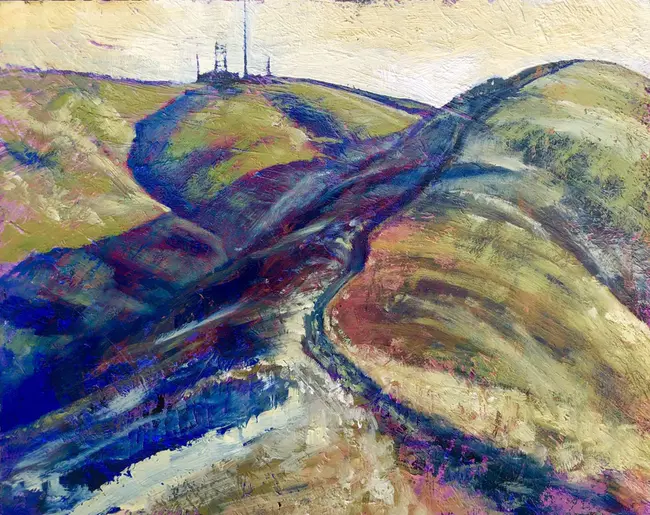 Burr Ridge : 伯尔里奇