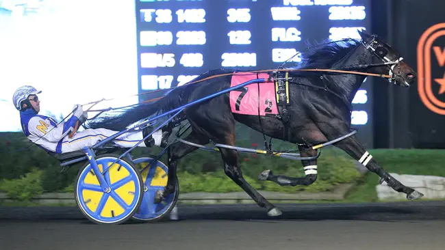 Law Enforcement Against Prohibition : 反禁止执法