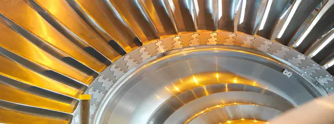 Authorize Capture : 授权捕获