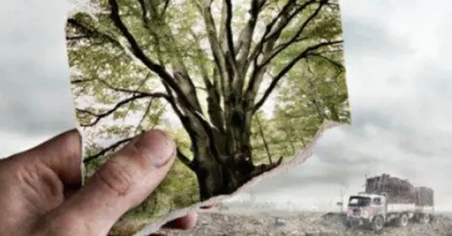 West Nile Liberation Front : 西尼罗河解放阵线