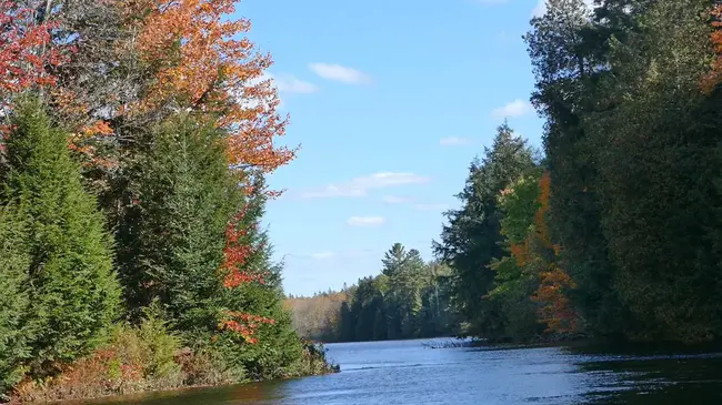 Wolf River Nature Area : 狼河自然区