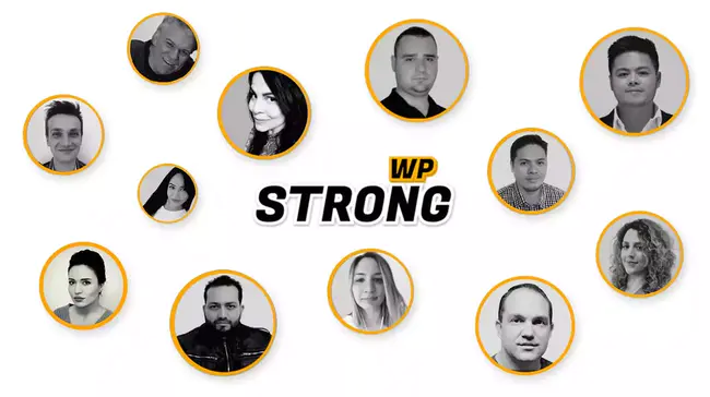 Web Software Quality Program : 网络软件质量计划