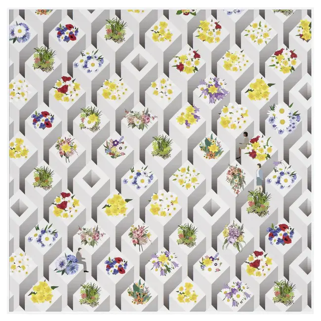 Moments Of Awareness : 意识时刻