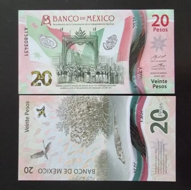 New Mexico State University : 新墨西州州立大学