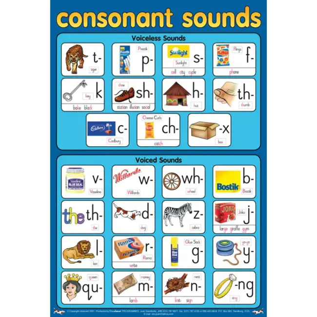 Consonant : 辅音