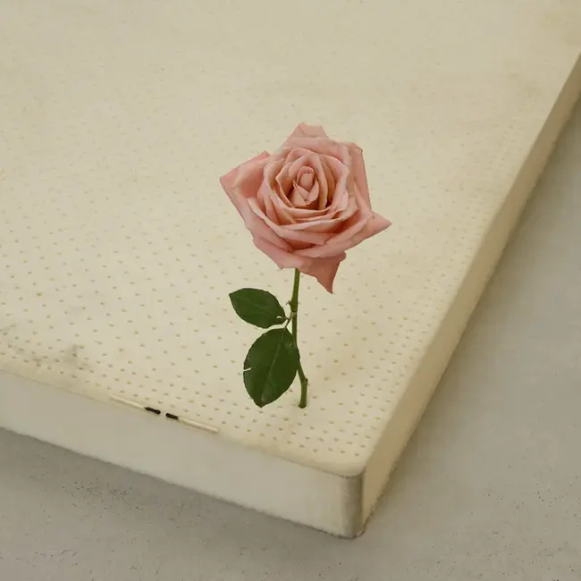 Always Perfect : 永远完美