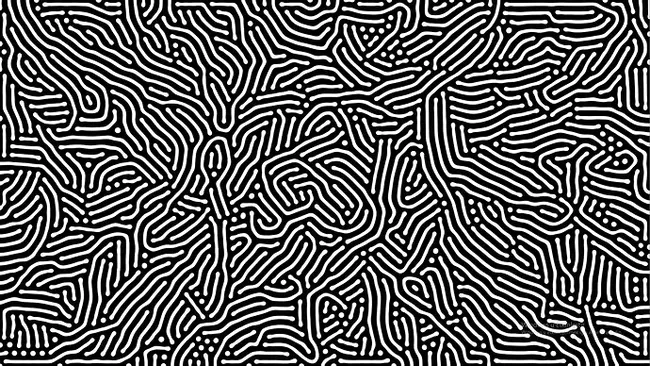 Reaction Diffusion : 反应扩散