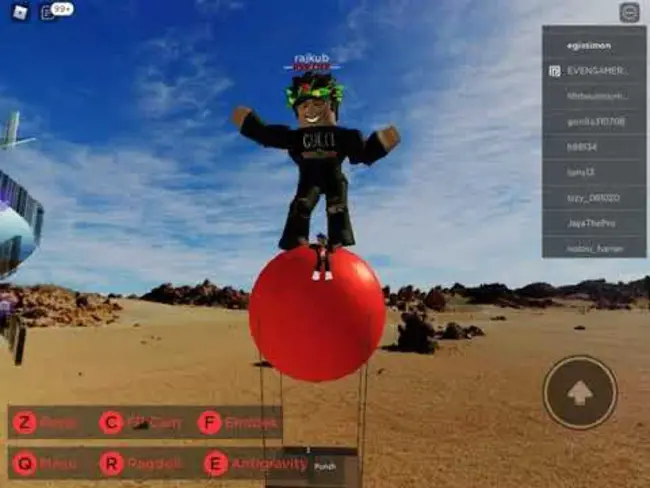 Disco Jockey : 迪斯科骑师