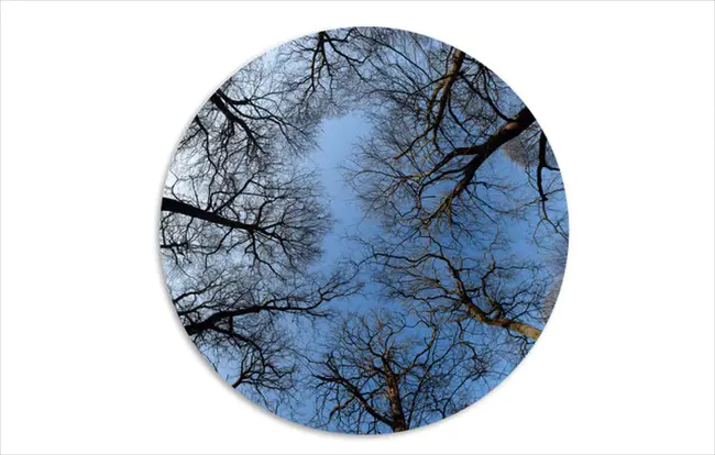 List Block : 列表块