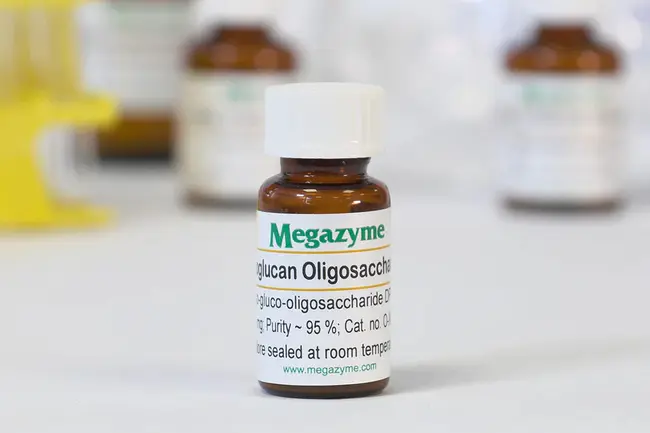 Xyloglucan : 木葡聚糖