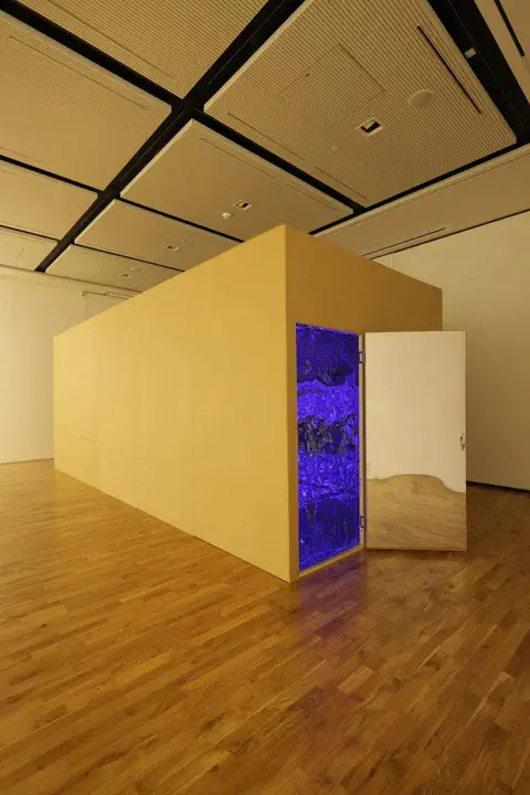 Three Cats Being Young : 三只小猫咪