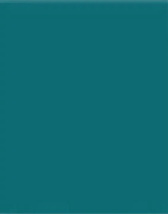Teal Color : 茶色