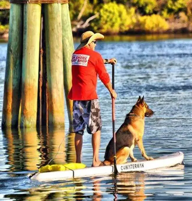 Certified Vacation Rental Professional : 注册假期租赁专业人员