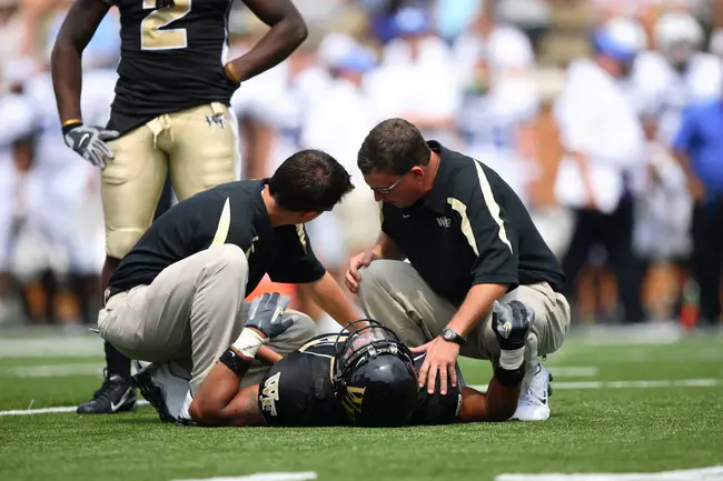 Registered Physician in Vascular Interpretation : 血管解释注册医师