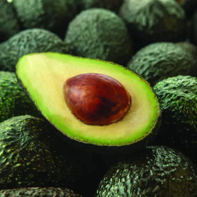 Hispano Europea de Comercio e Industria : 西班牙-欧洲贸易和工业