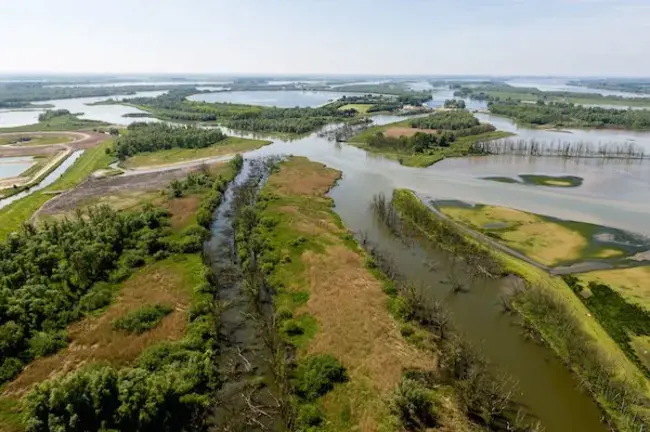 Biesbosch Open Water Race : 比斯博什公开赛