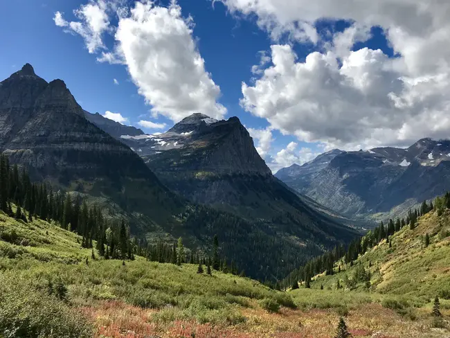 Montana : 蒙大拿