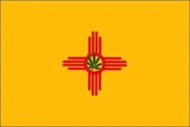 New Mexico : 新墨西哥